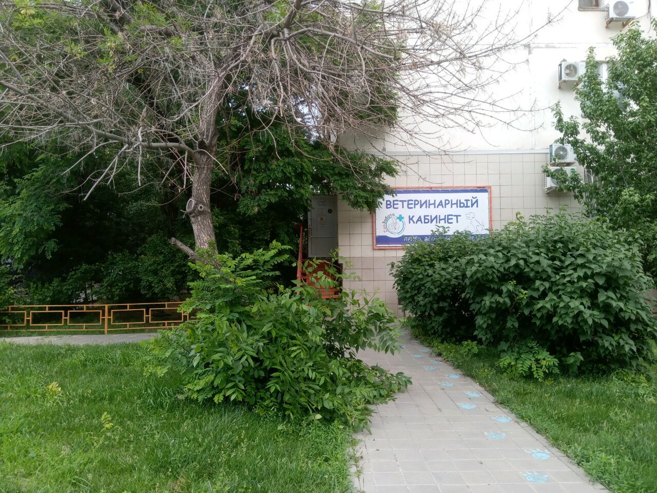 Фото клиники 56311