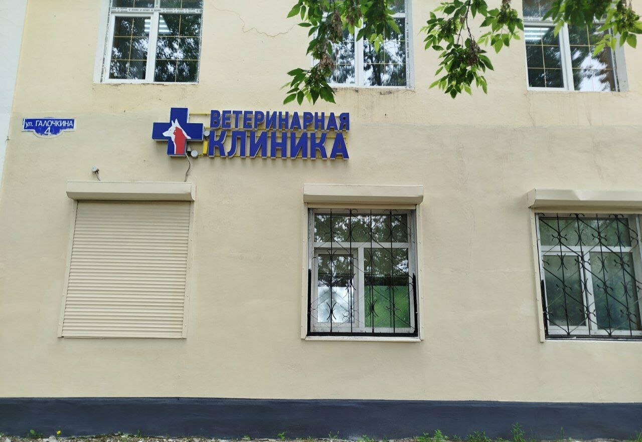Фото клиники Пес и кот