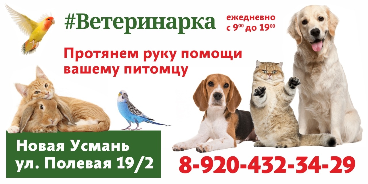 Логотип клиники