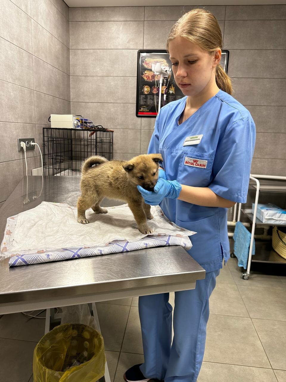 more clinic photos 4464