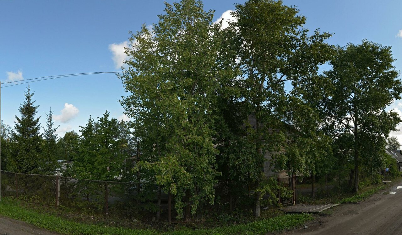 Фото клиники Тотемская районная станция по борьбе с болезнями животных
