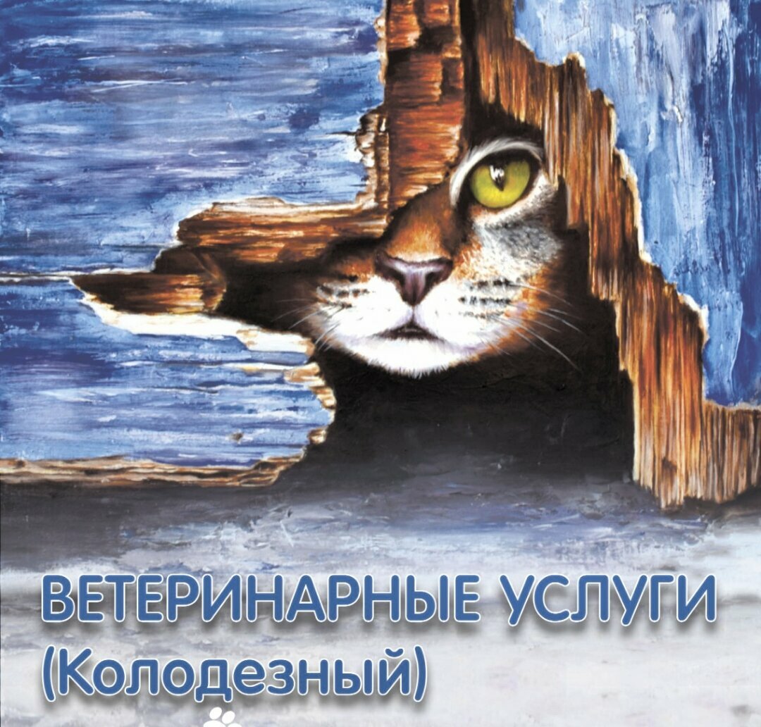Фото клиники Zoo-Family