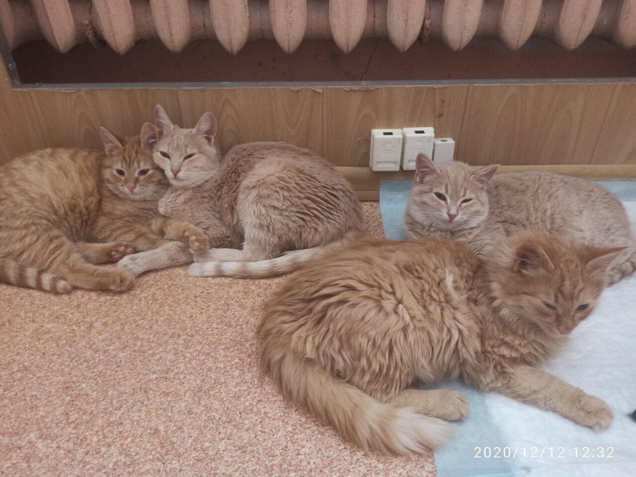 Фото клиники 81188