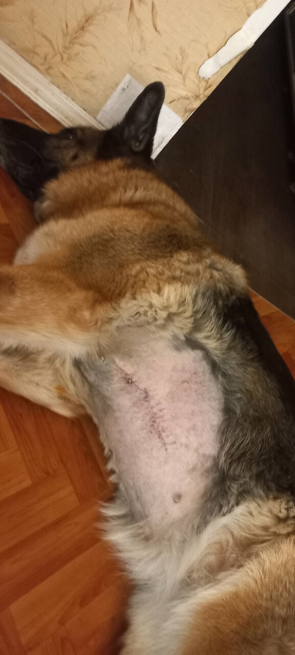 more clinic photos 4257