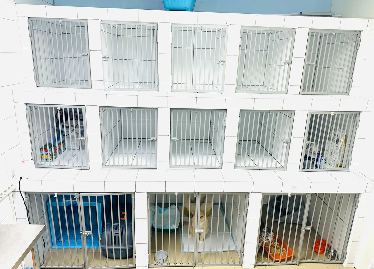 more clinic photos 28920