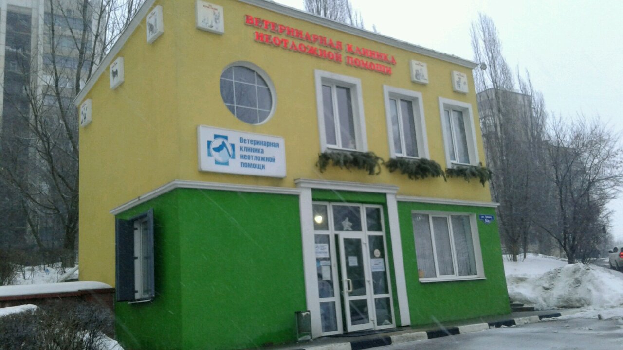 Фото клиники 62918