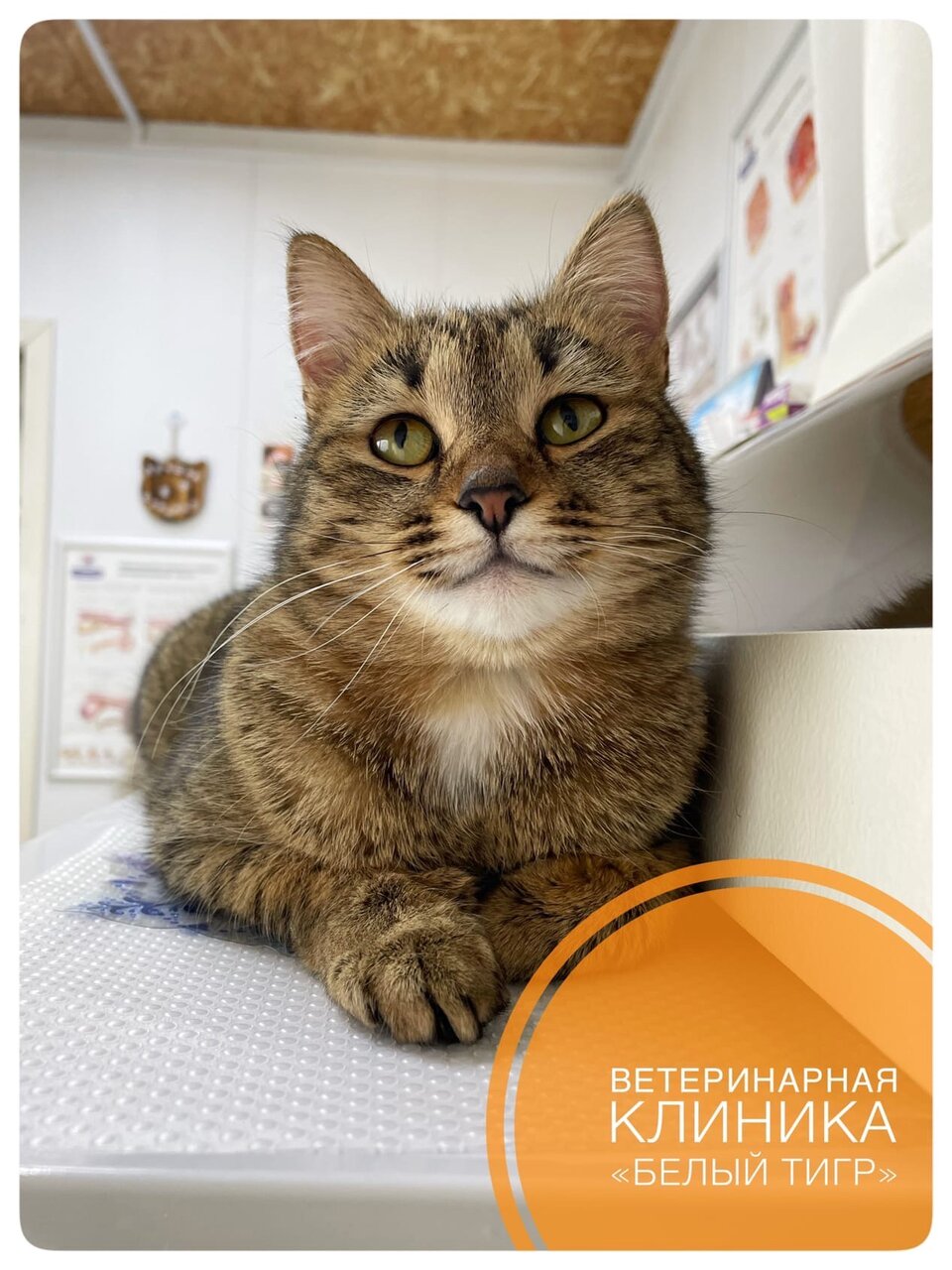 more clinic photos 15611