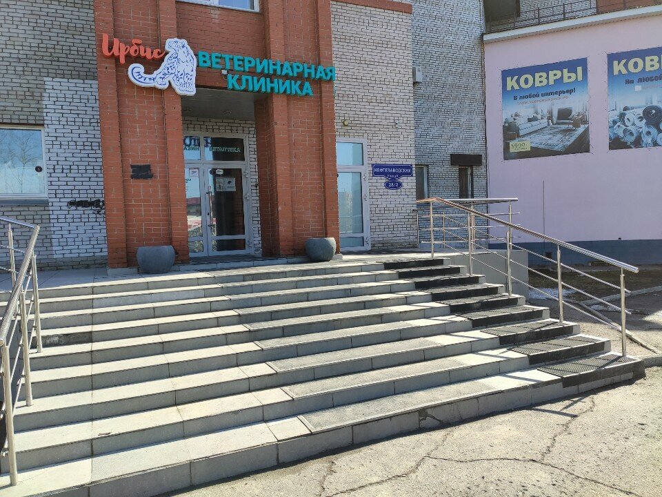 Фото клиники 24411