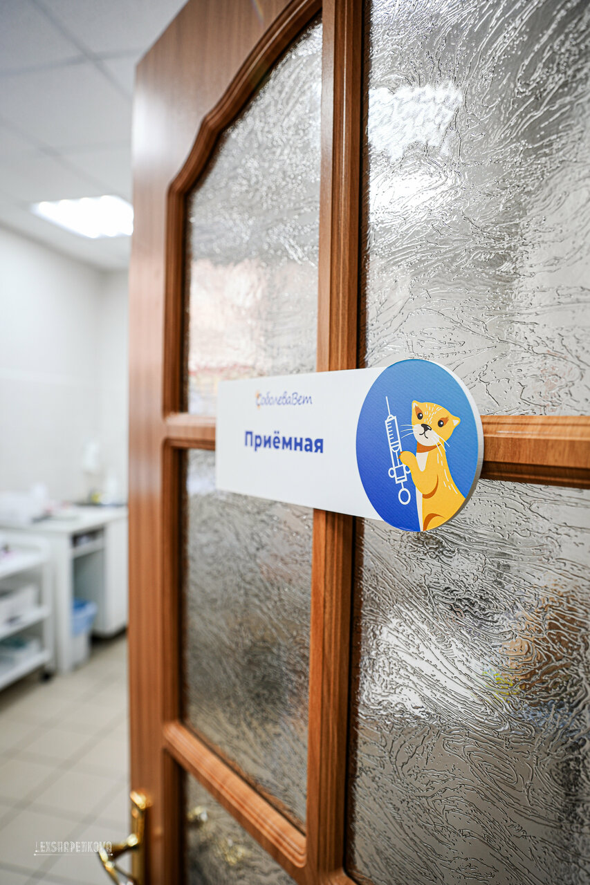 more clinic photos 33595