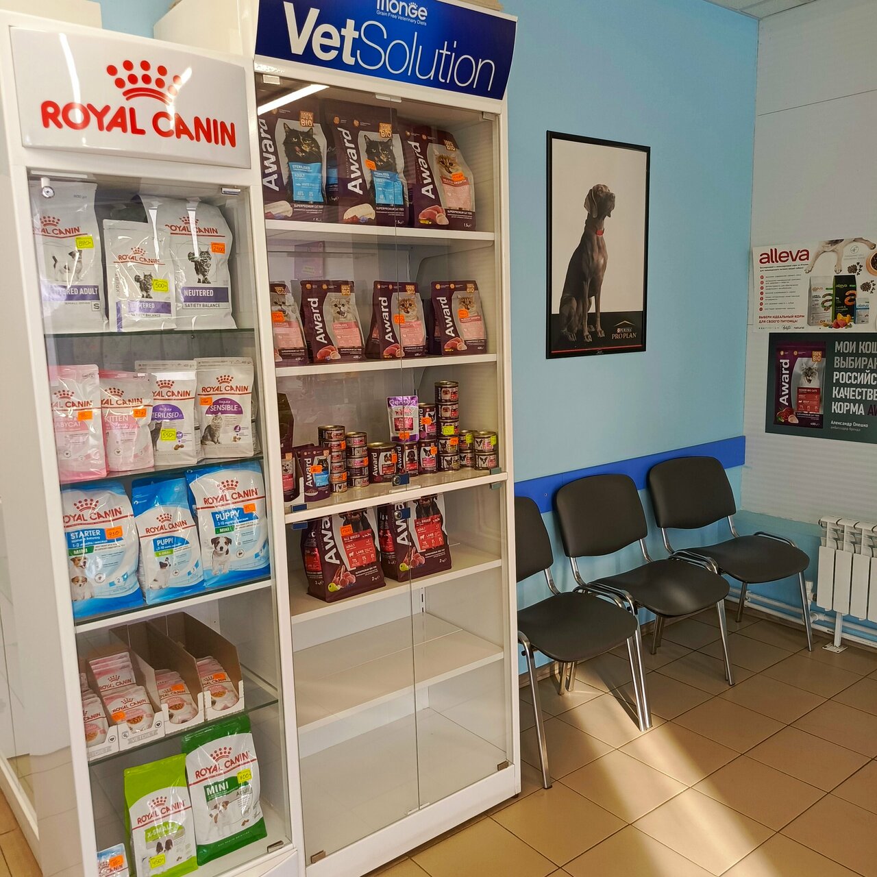 clinic general image