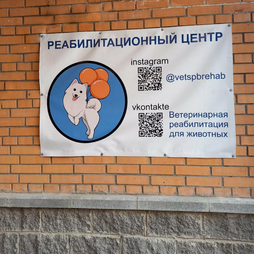 Фото клиники 28622