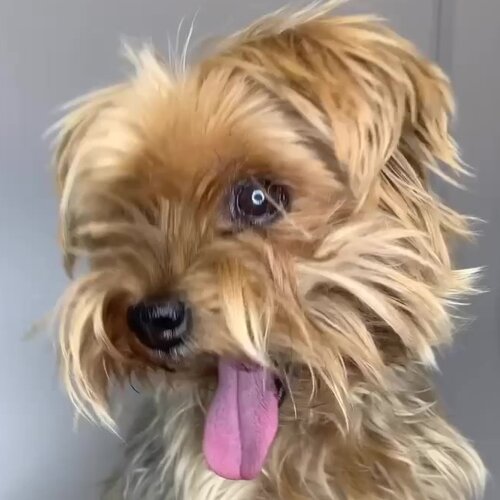 clinic general image