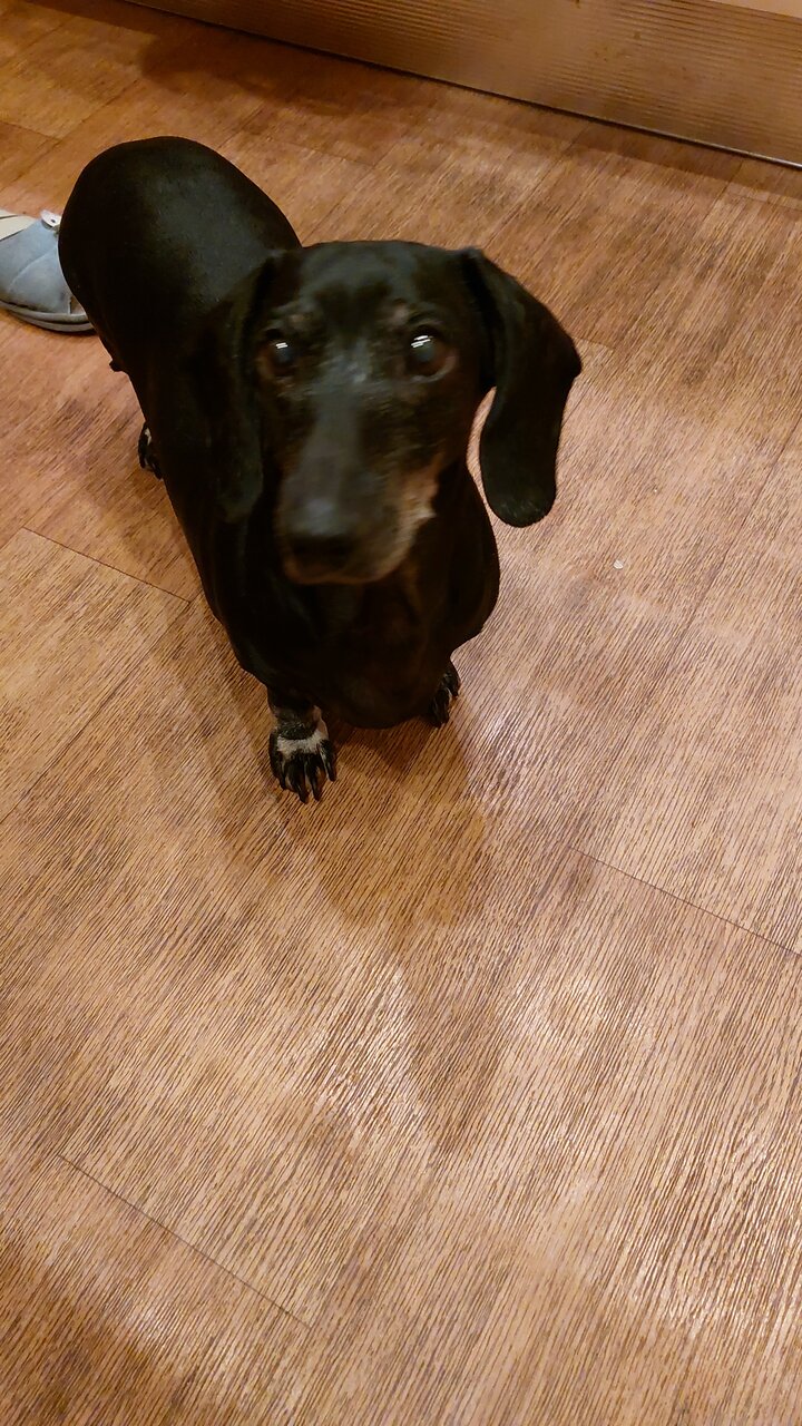 more clinic photos 2917