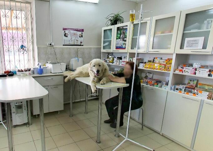Фото клиники Династия