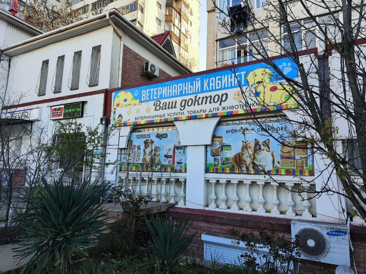 Фото «Ваш доктор»