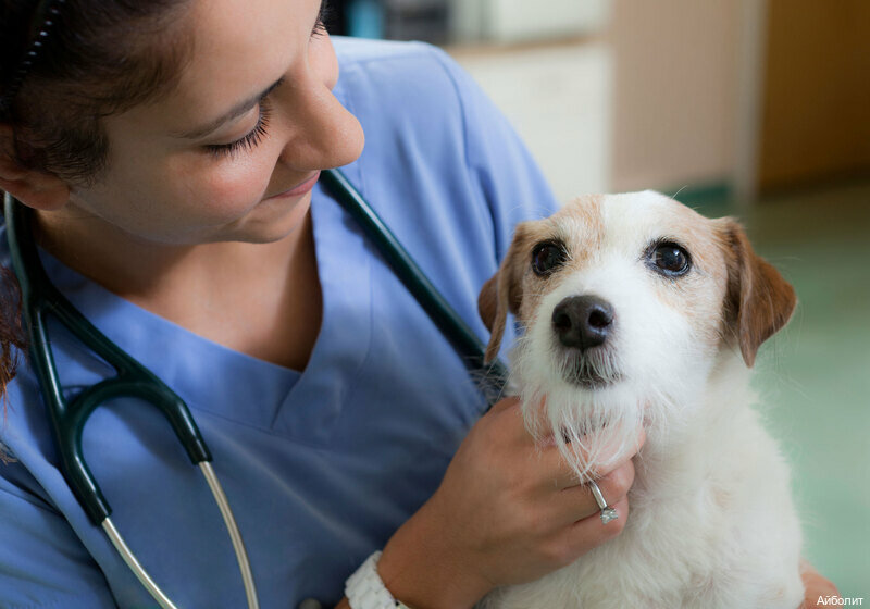 clinic general image