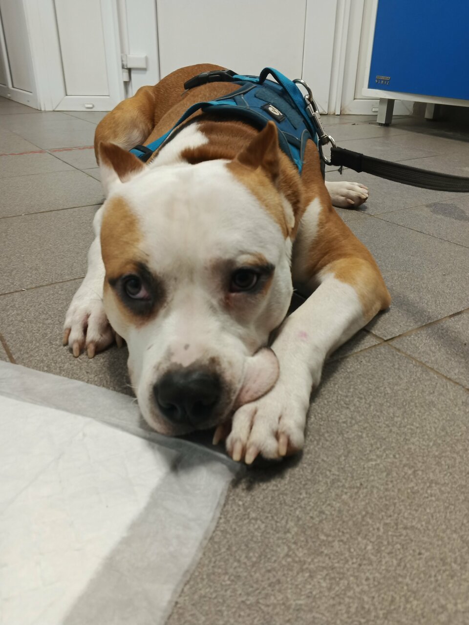 Ещё фото клиники 40665