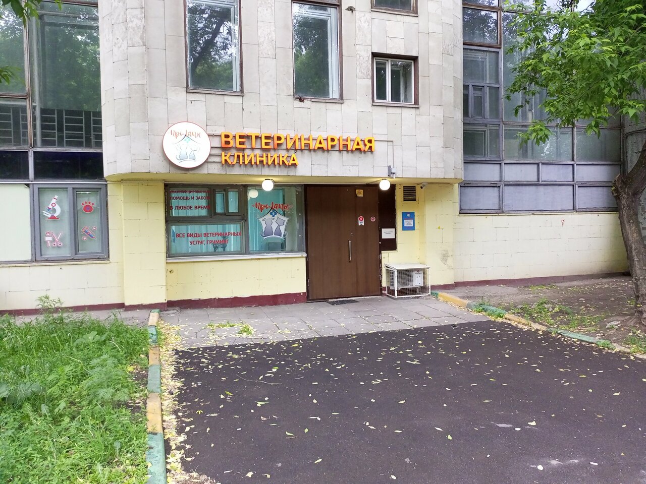 Фото клиники 72689
