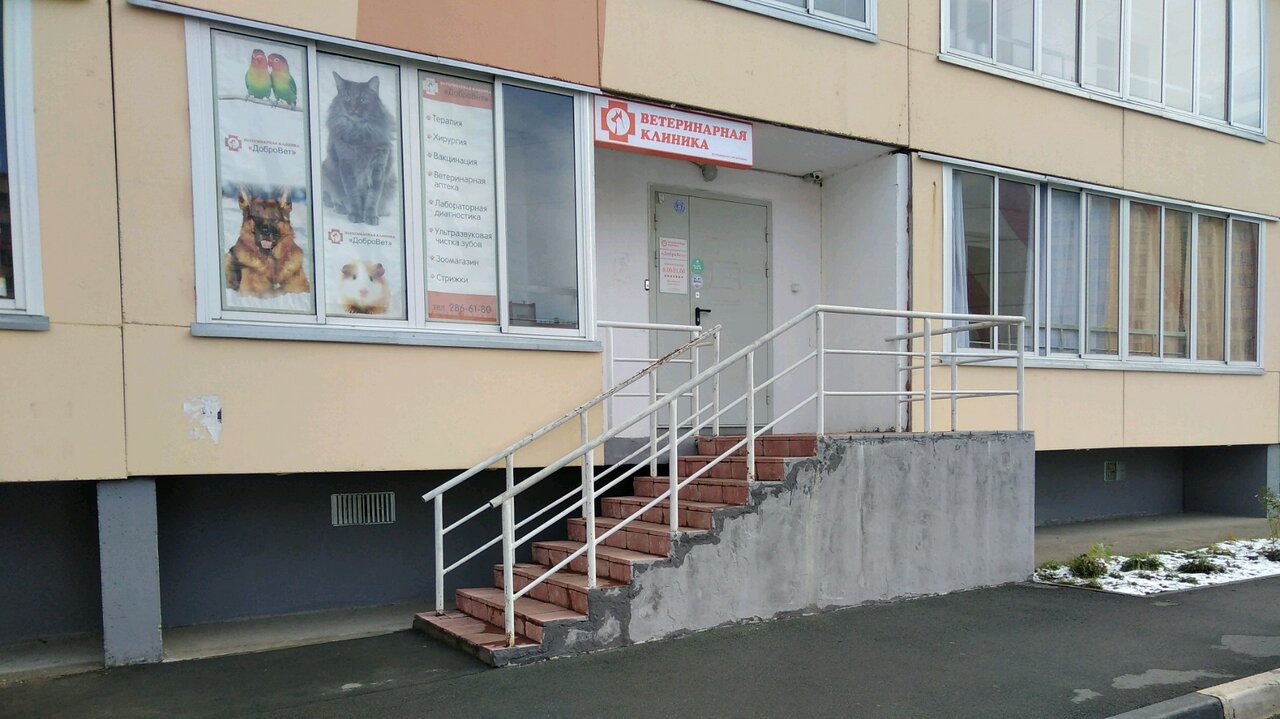 Фото «ДоброВет»