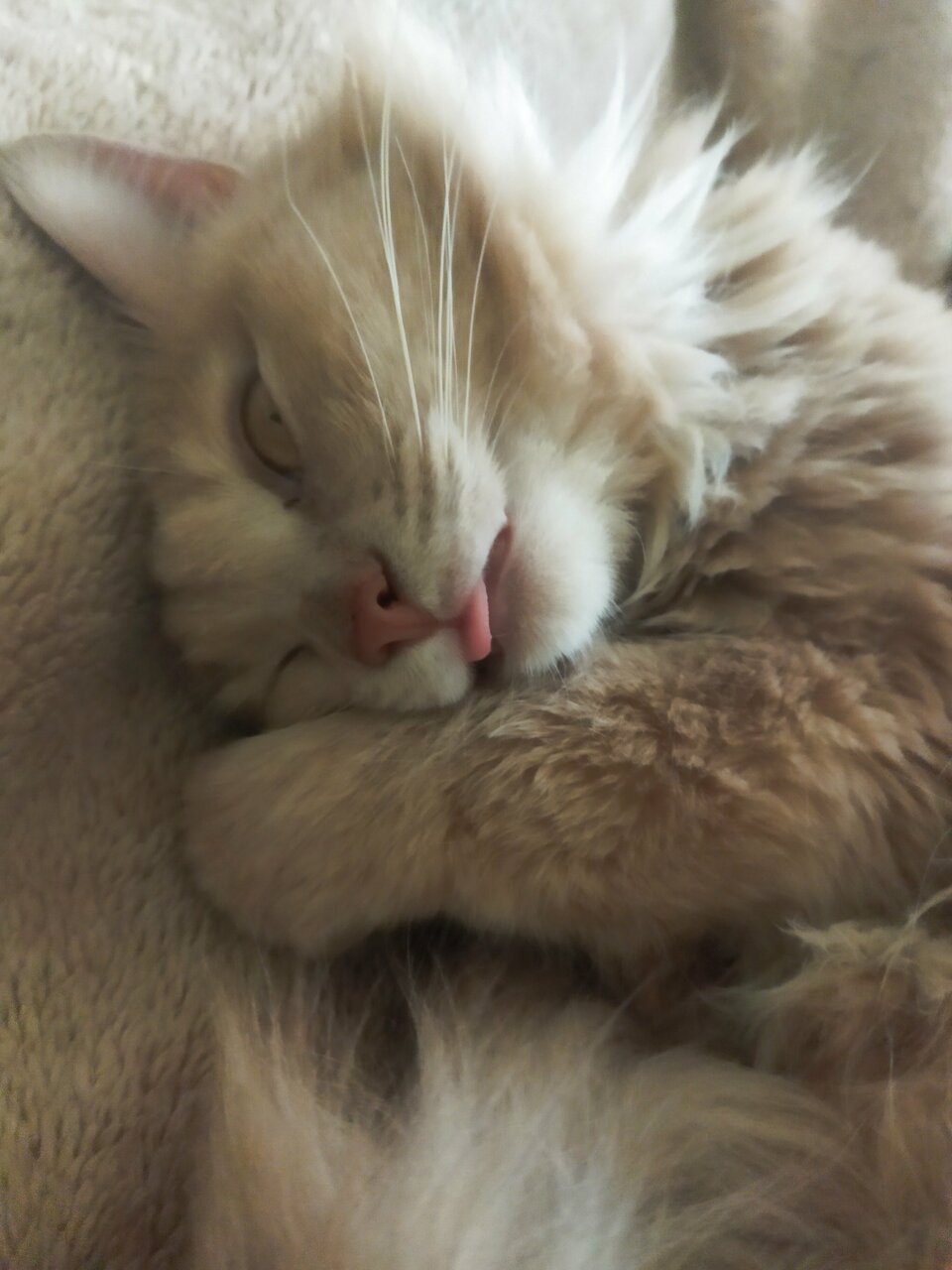 more clinic photos 8996