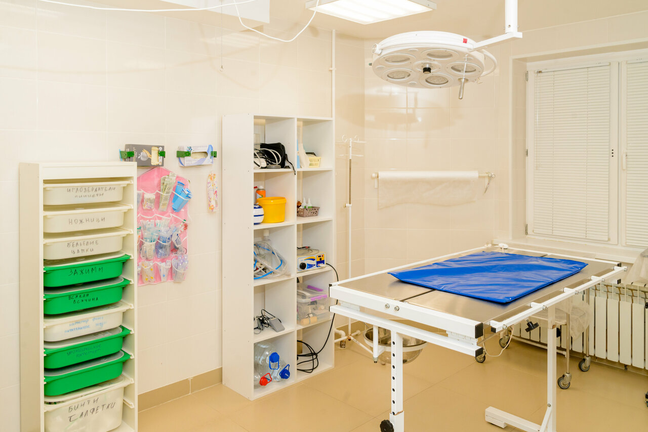 Стаханова-Вет