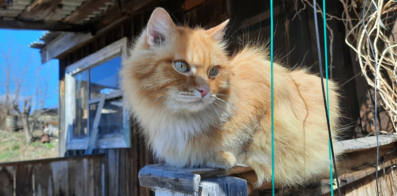 clinic general image