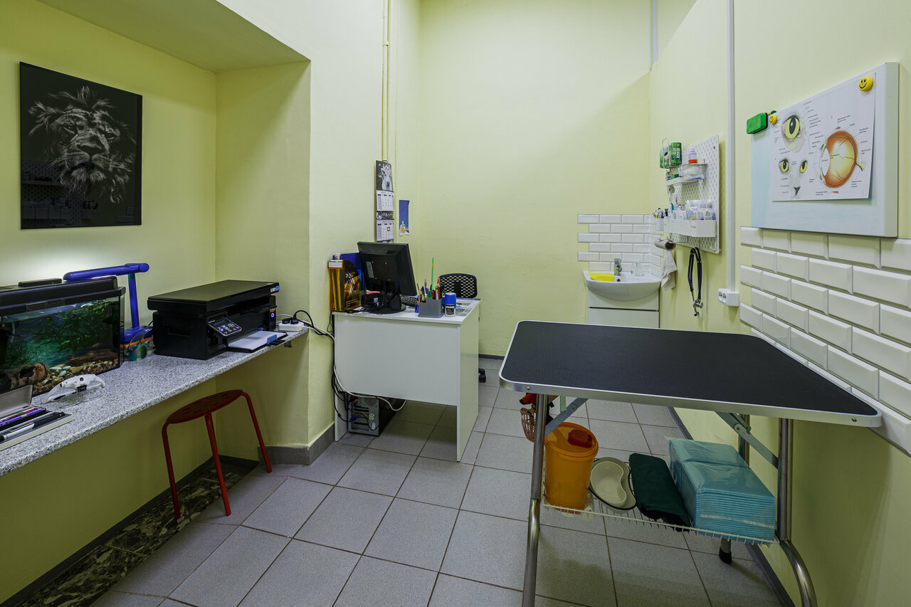 more clinic photos 75091