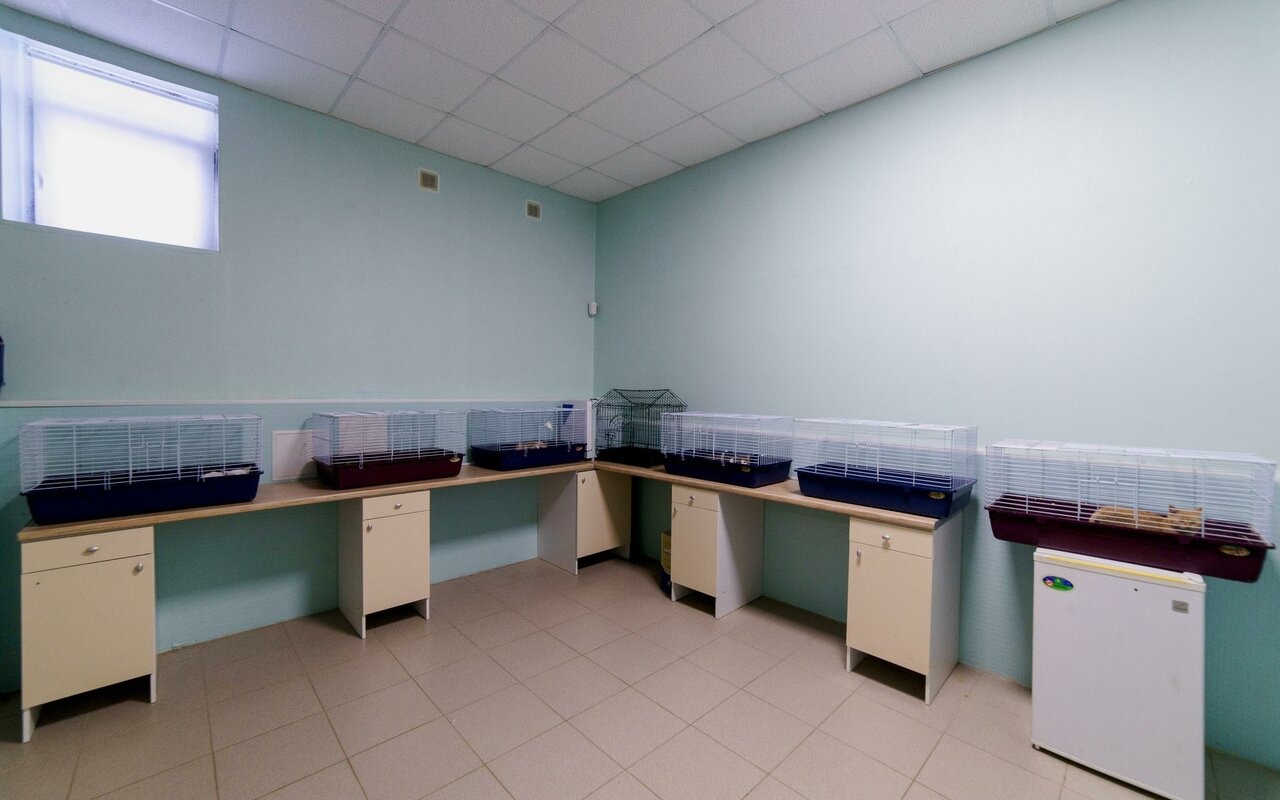 more clinic photos 8390