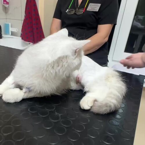 clinic general image