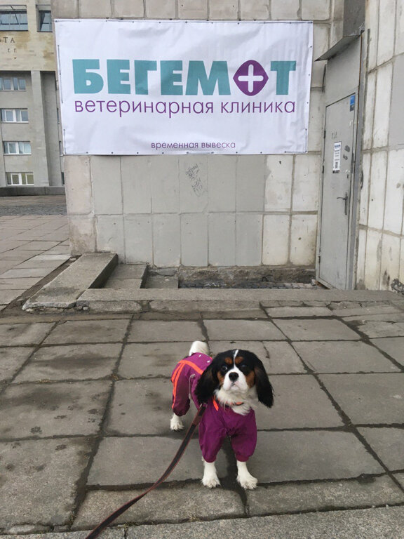 Фото клиники 10704