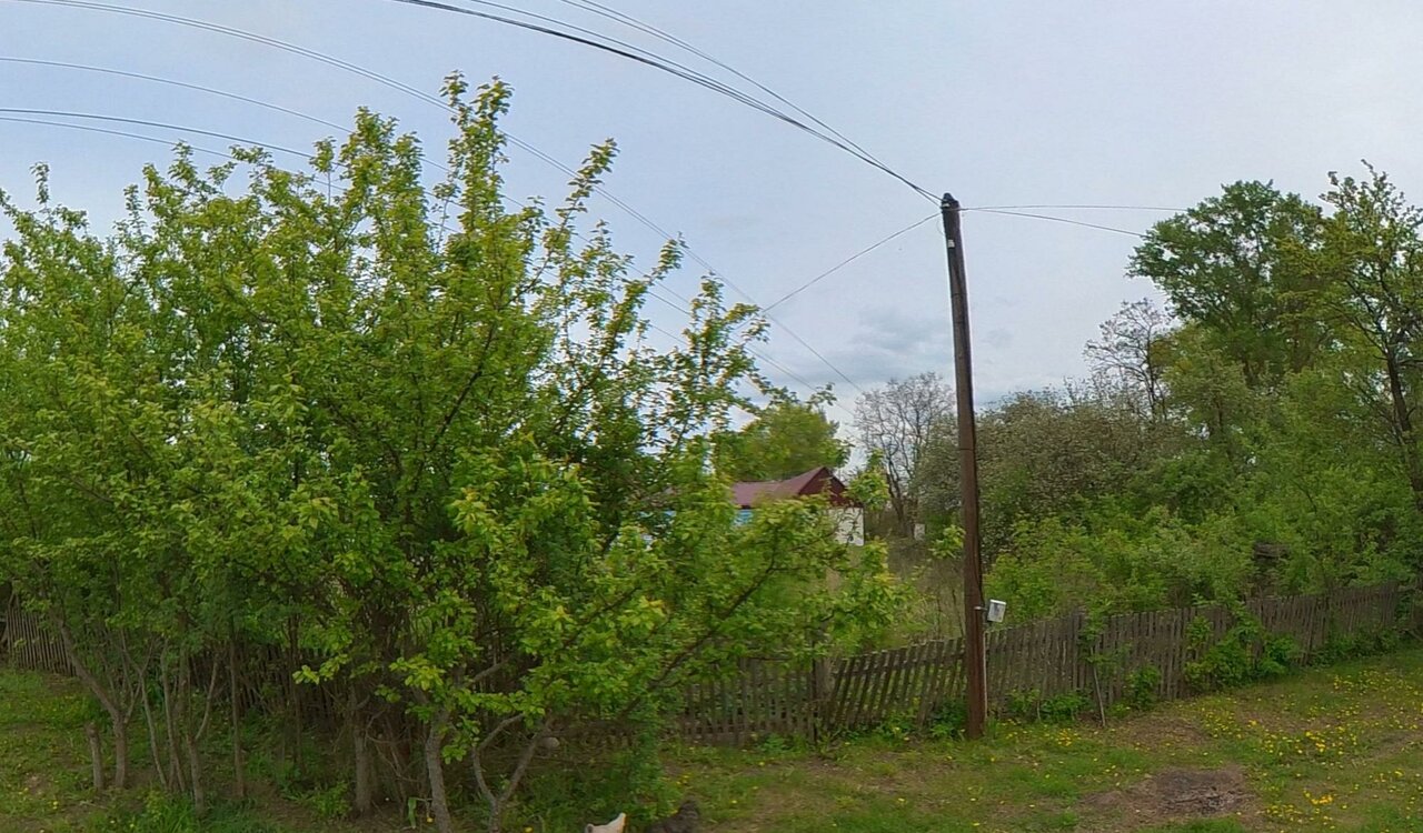 Фото клиники Комаричская ветстанция