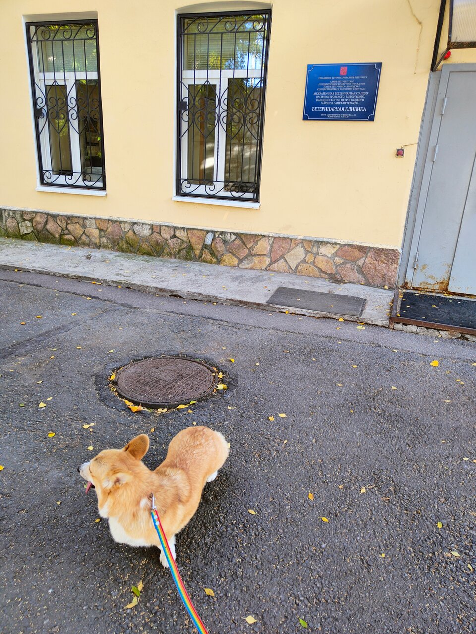 Фото клиники 7535