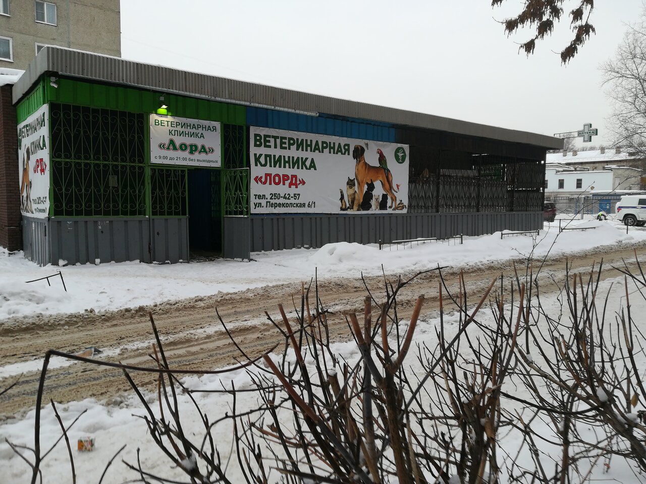 Фото клиники 61506