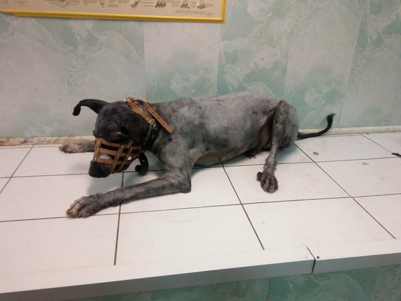 clinic general image