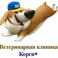 Главное фото клиники