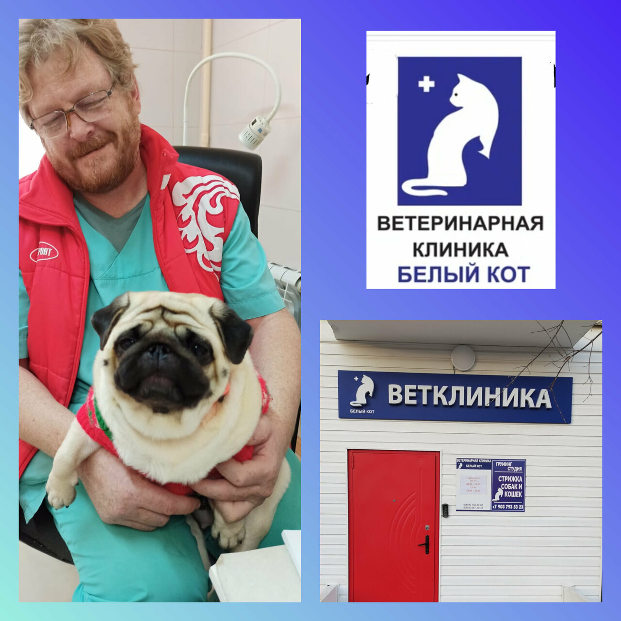 Фото «Белый кот»