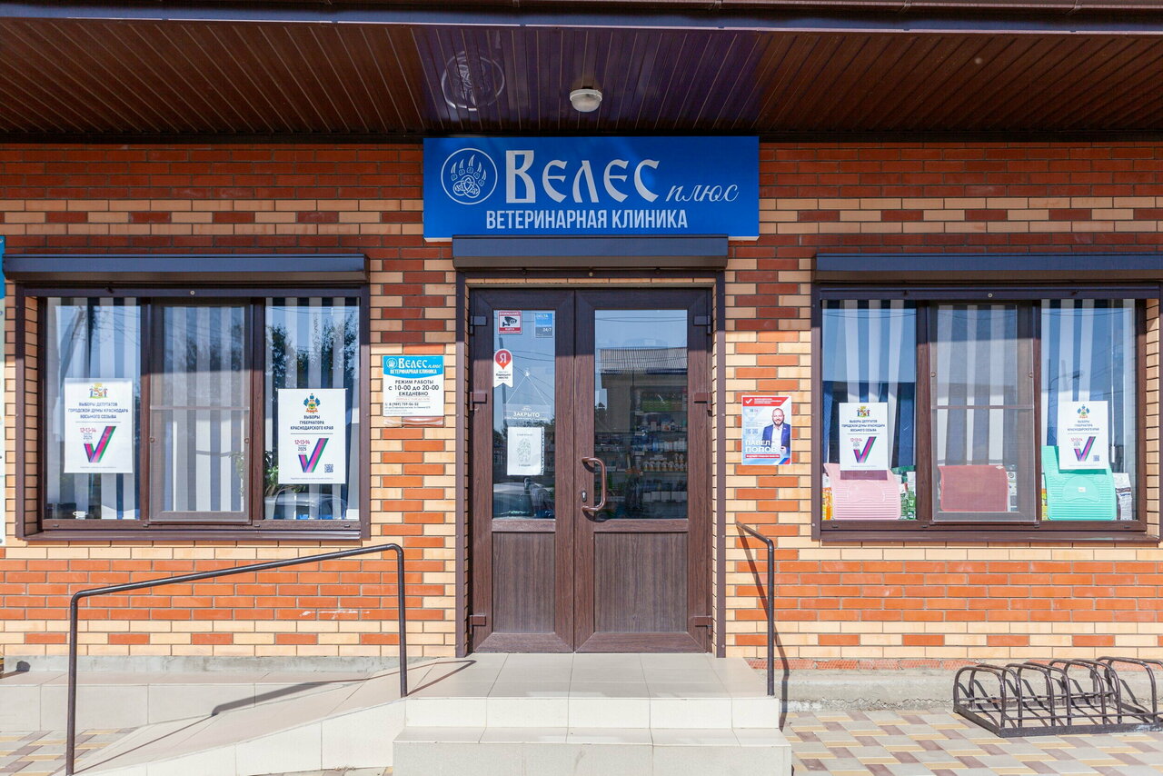 Фото «Велес»