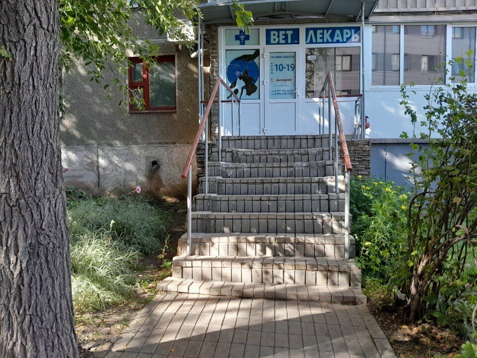 Центр ветеринарной помощи