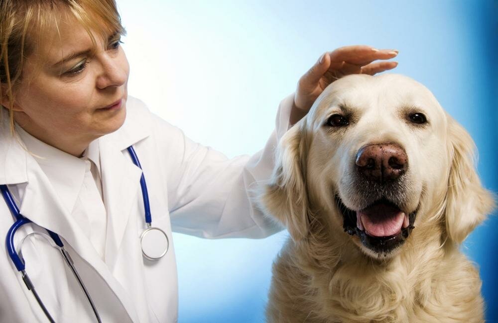 more clinic photos 18190