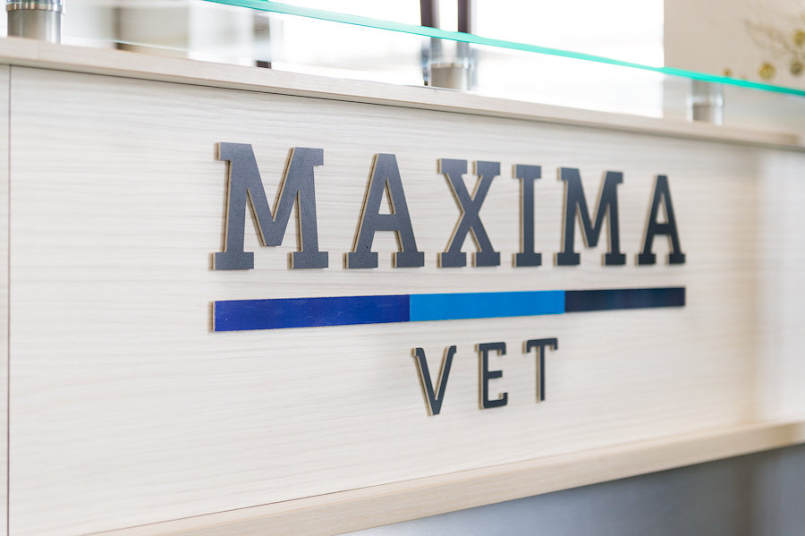 more clinic photos 13648