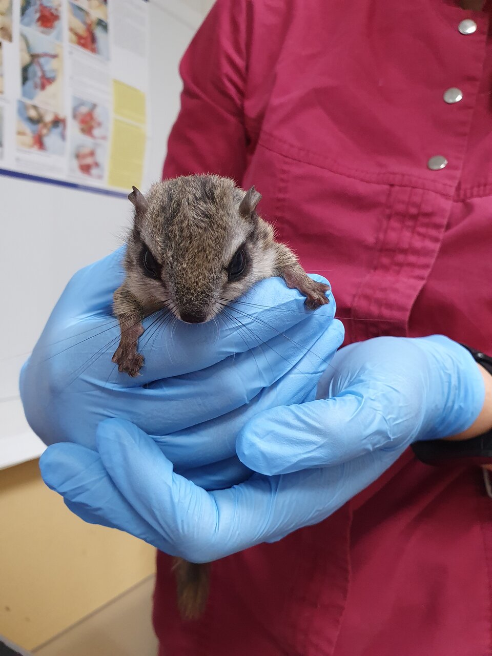 more clinic photos 40771