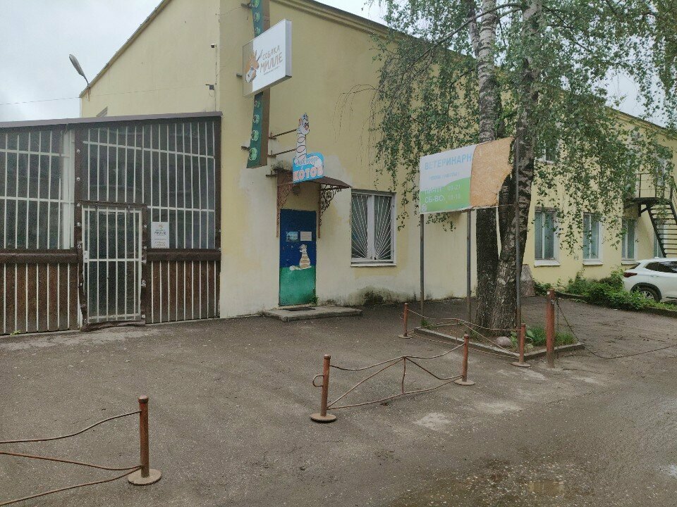 Фото клиники 66552