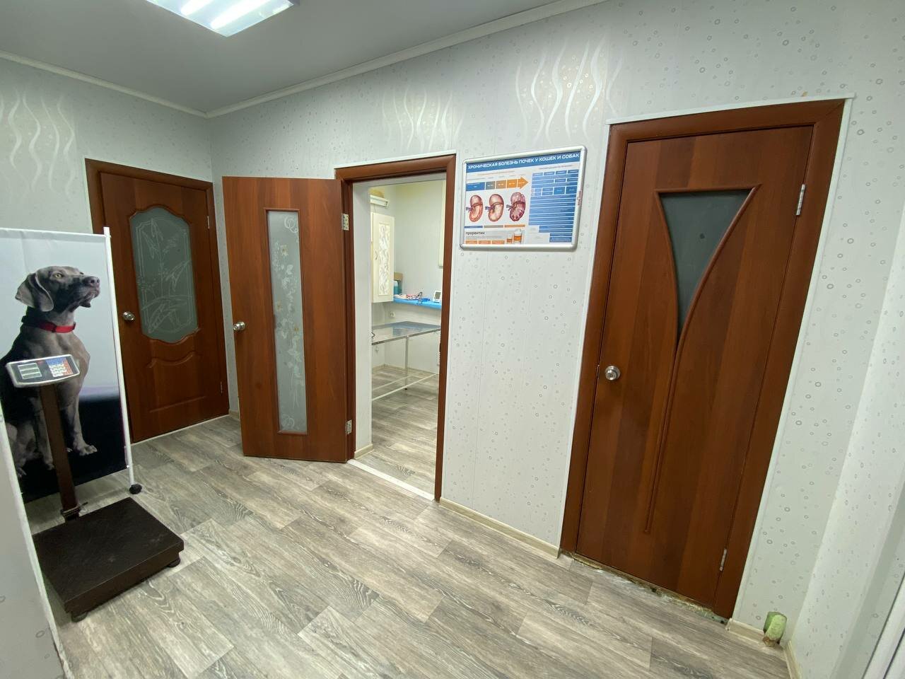 more clinic photos 23452