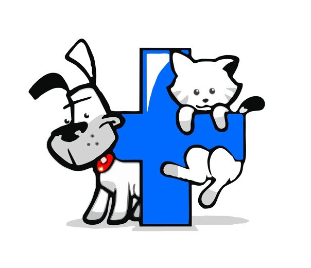 Логотип клиники