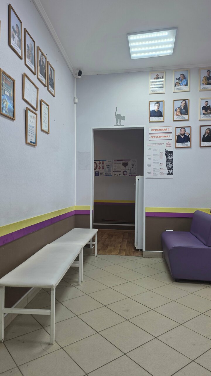 Фото клиники 70436