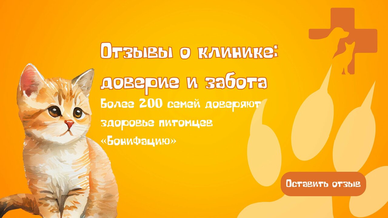 Фото клиники 11340