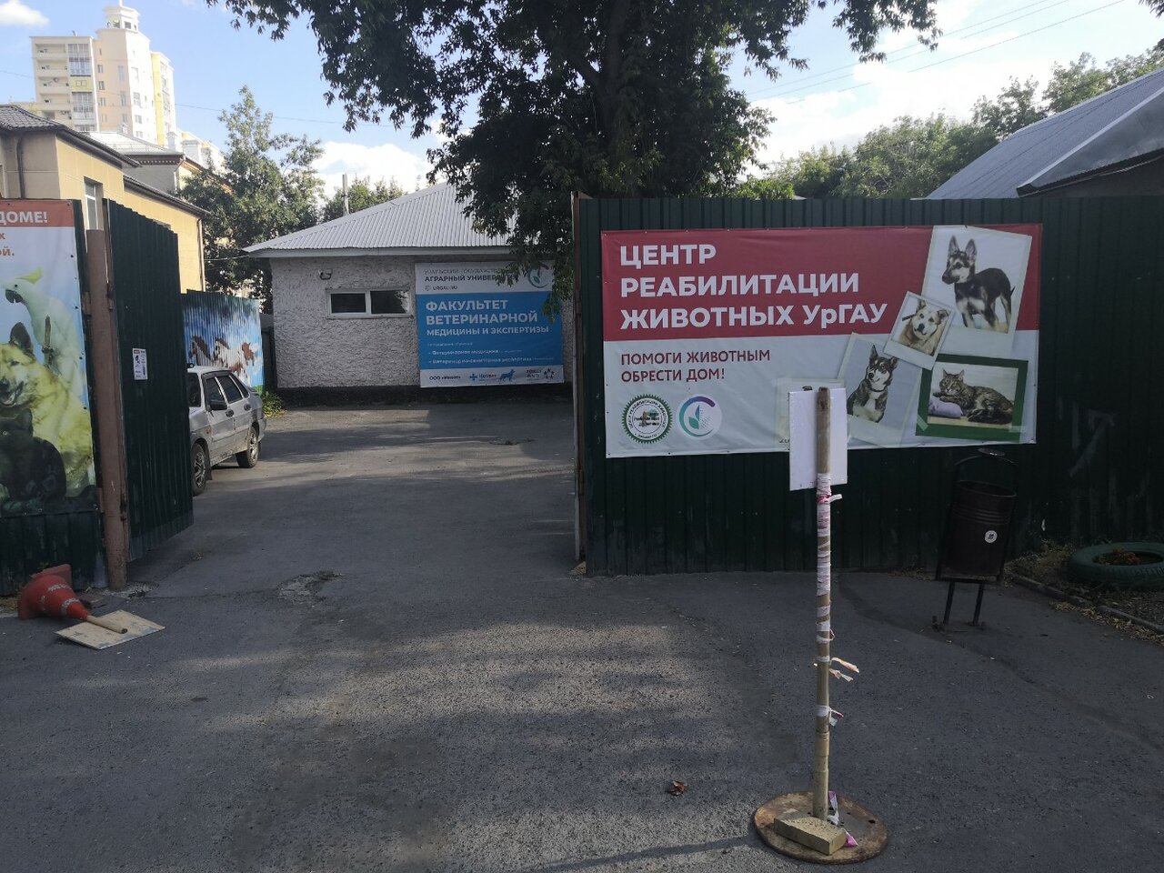 Фото клиники 26284