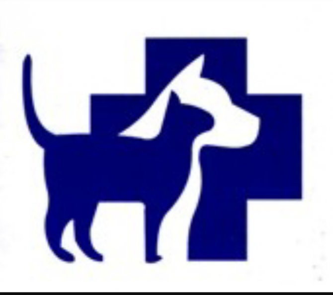 clinic logo