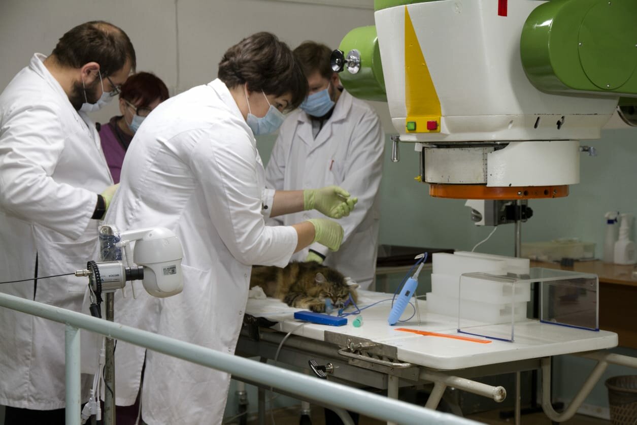 Клиника Ветеринарной радиологии