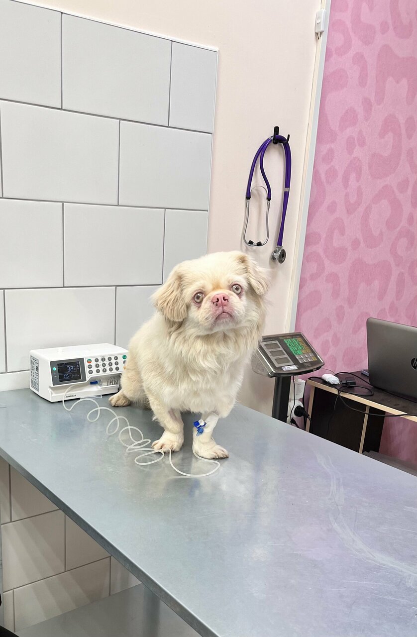 more clinic photos 29266